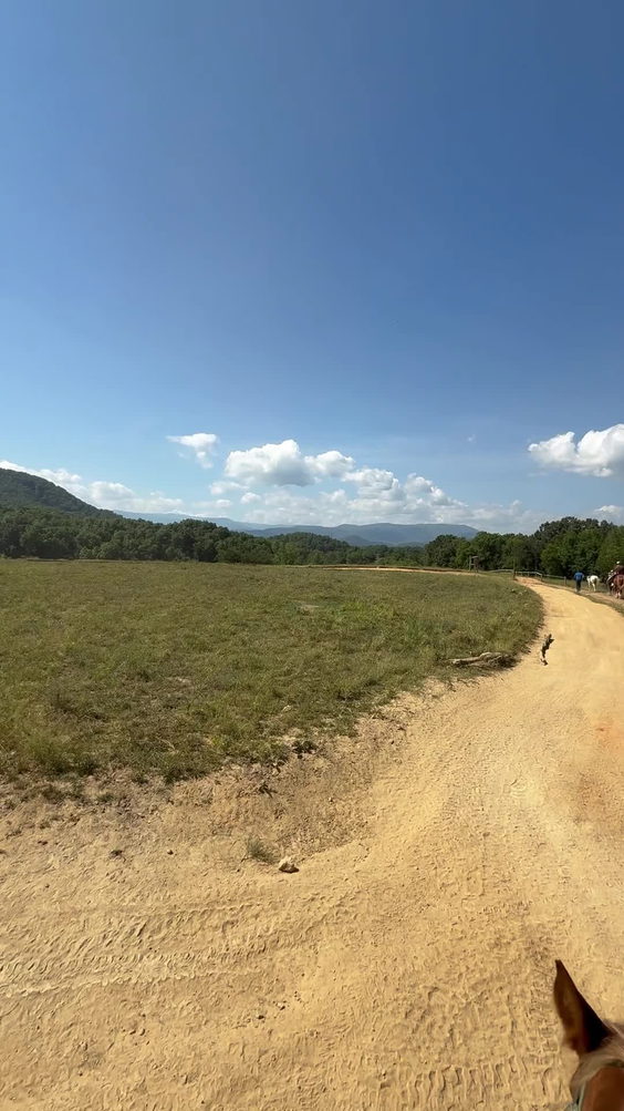 Jaylee Stables & Ziplining