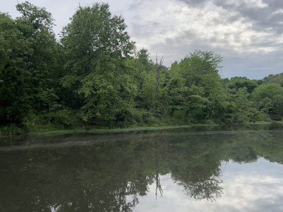 Wells Lake