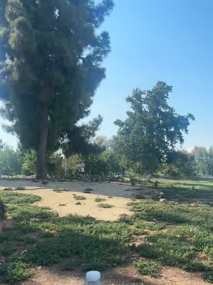 Legg Lake Park