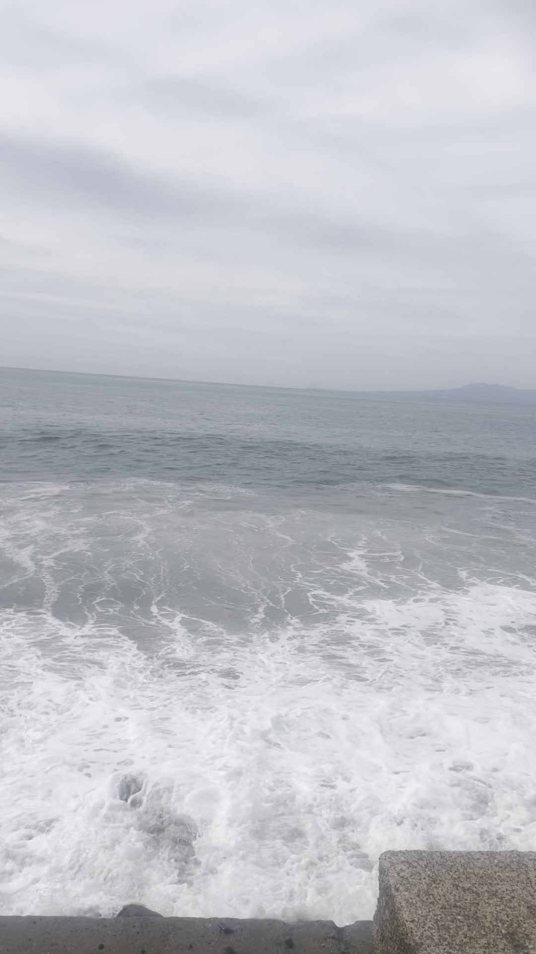 Video review of Malecón Puerto Vallarta