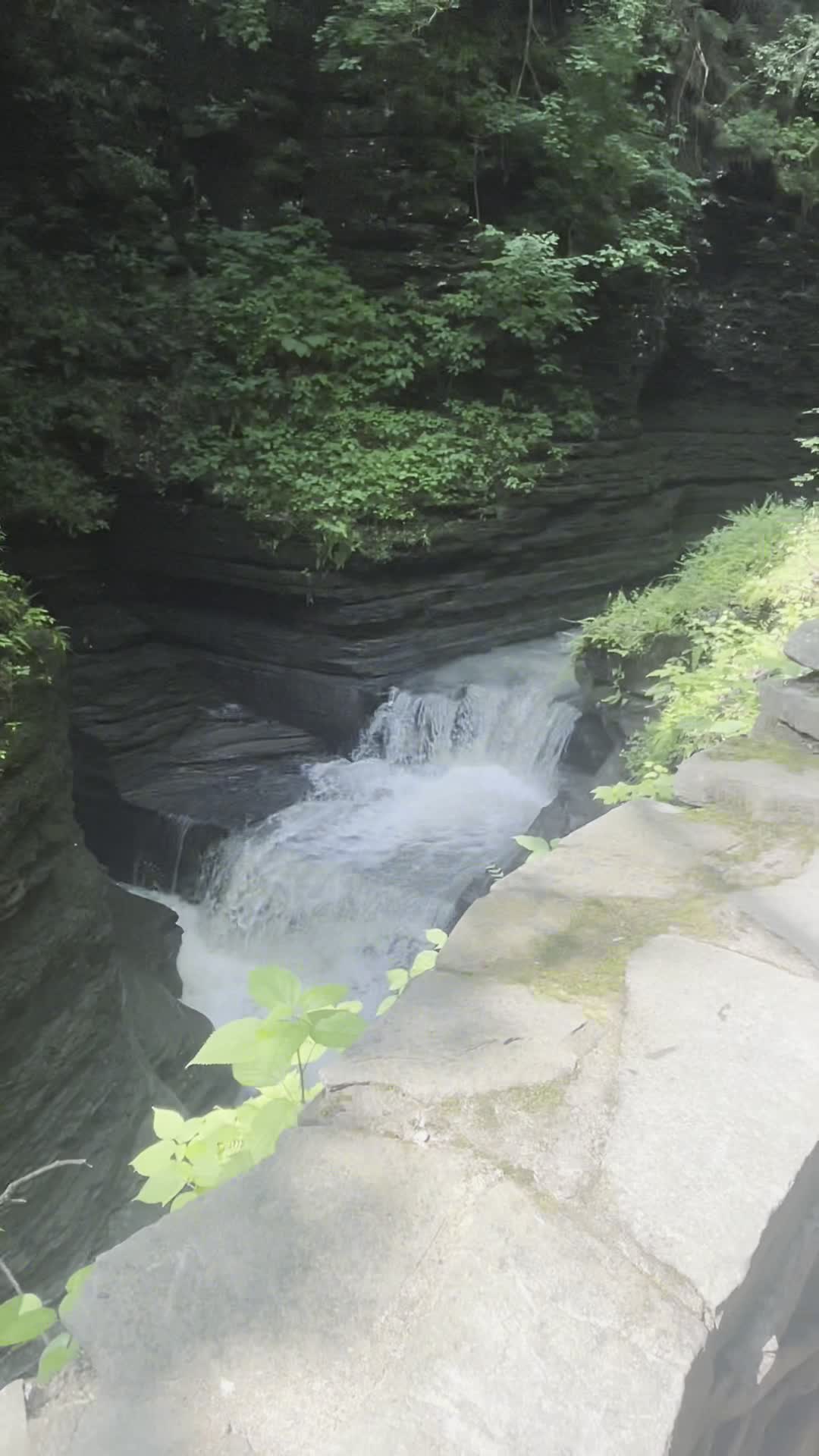 Video review of Buttermilk Falls State Park