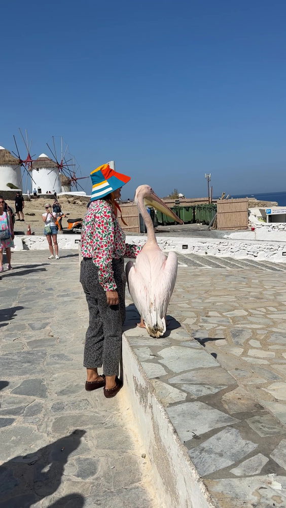 Κάτω Μύλοι (Windmills)