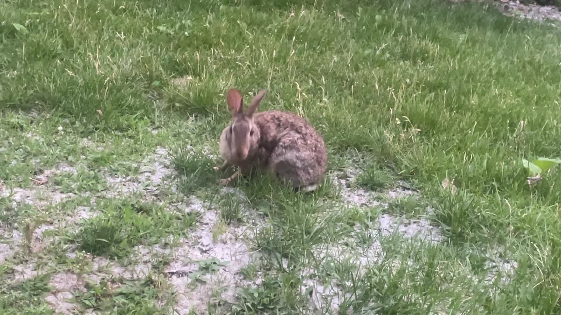 Video review of Lake Mendota