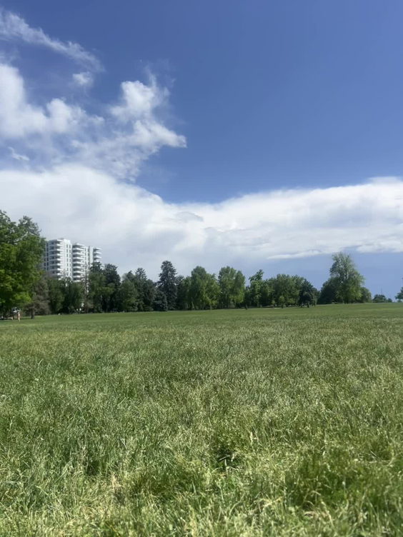 Cheesman Park