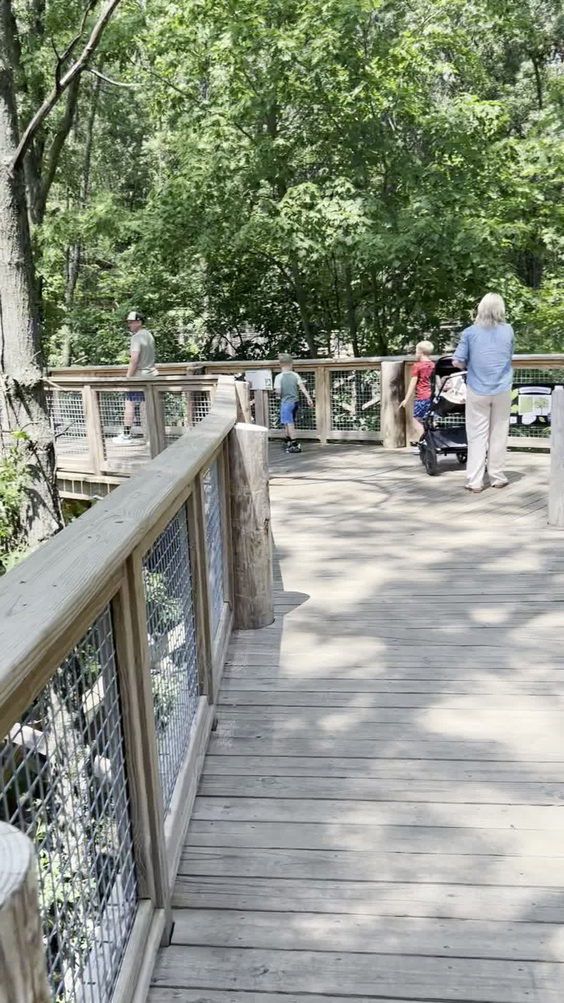 Blacklick Woods Canopy Walk