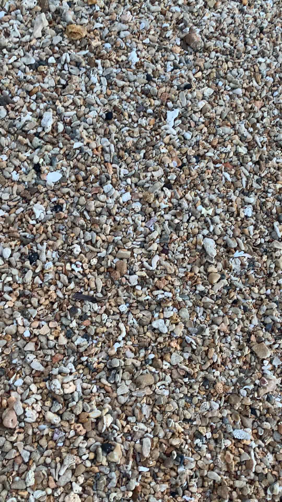 Kalihiwai Beach