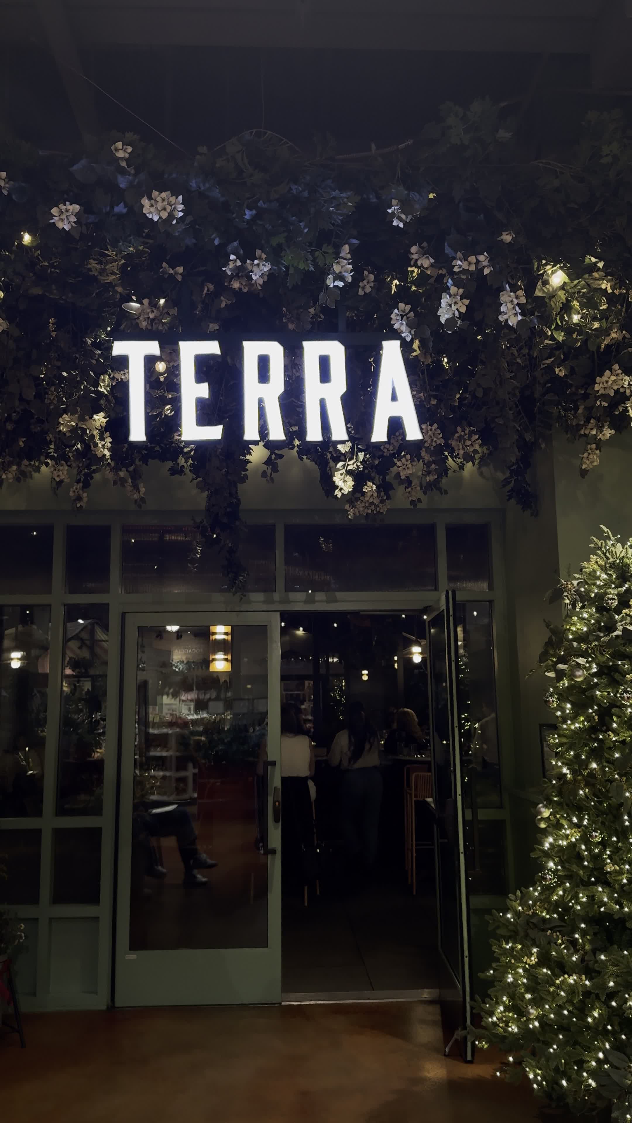 Video review of Terra