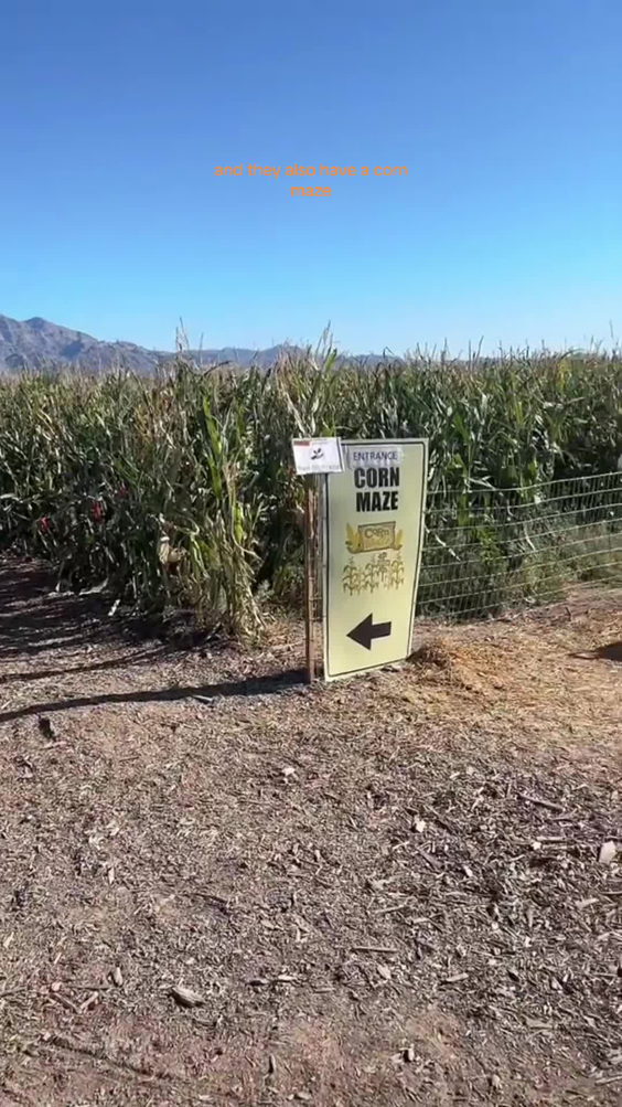 Gilcrease Orchard