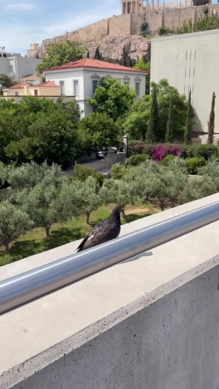 Cafe & Restaurant at Acropolis Museum