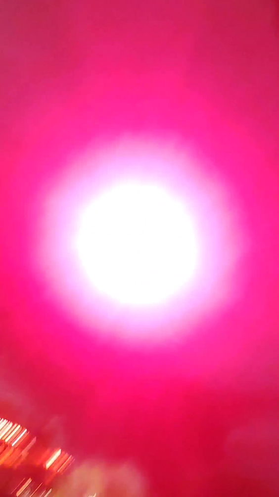 Zanzibar