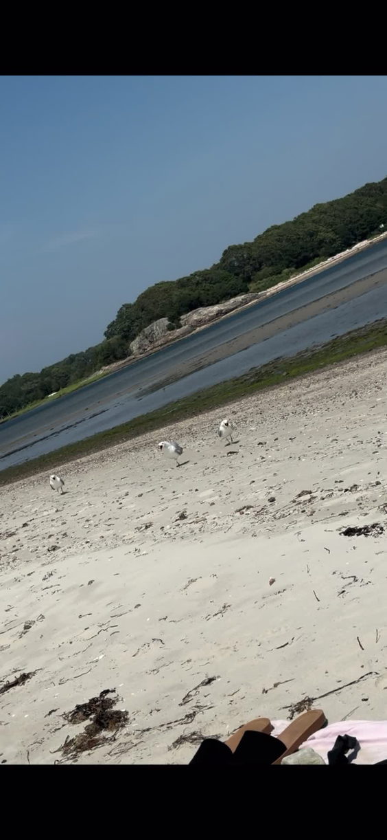 Revere Beach
