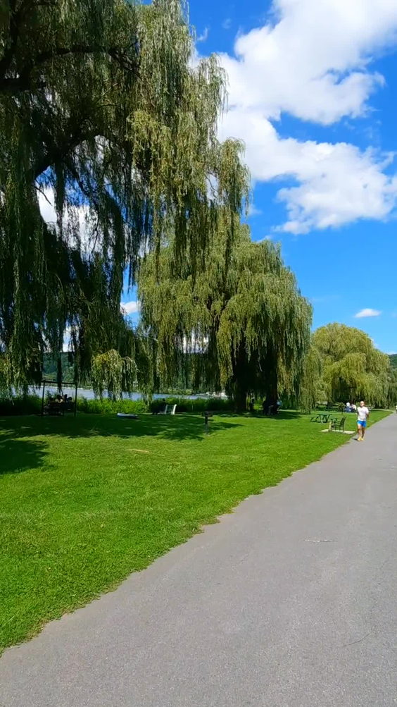 Stewart Park Playground