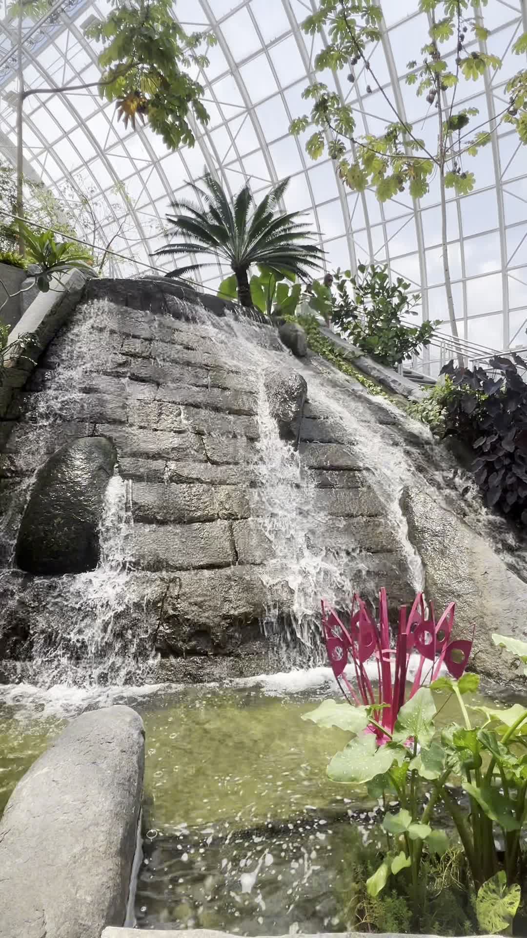 Video review of Myriad Botanical Gardens