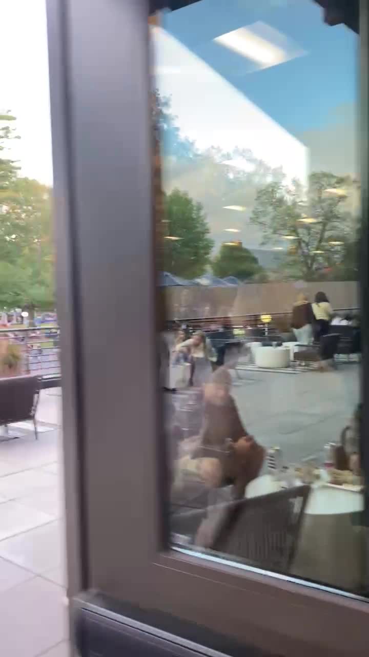 Video review of Saratoga Performing Arts Center