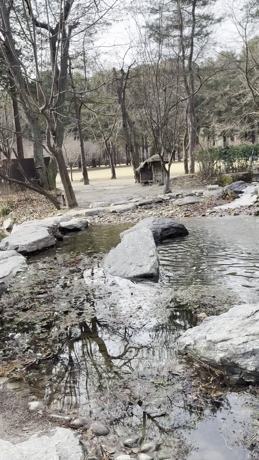남이섬