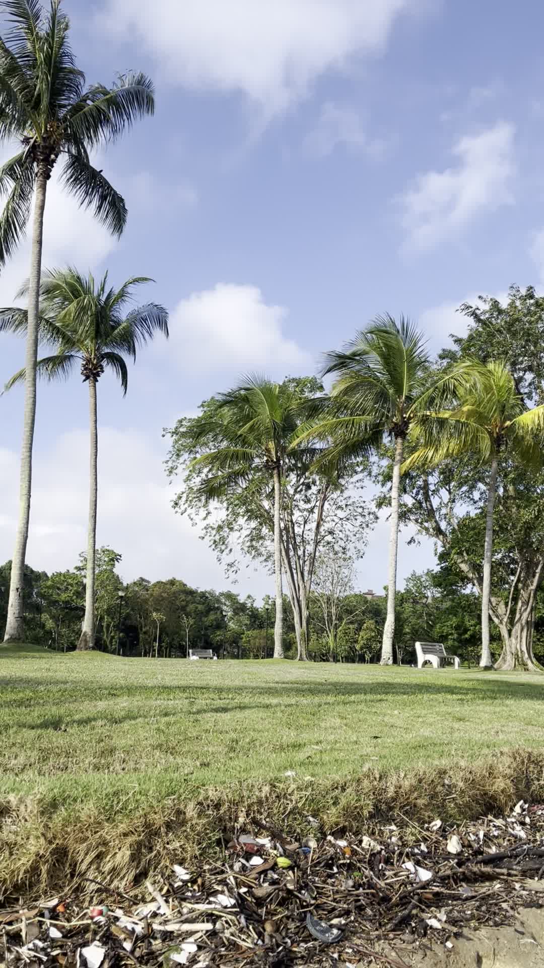Pasir Ris Town Park