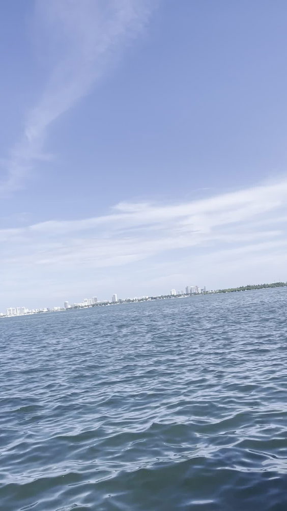 Miami Bridge South