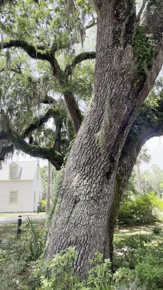 The Historic Ribault Club