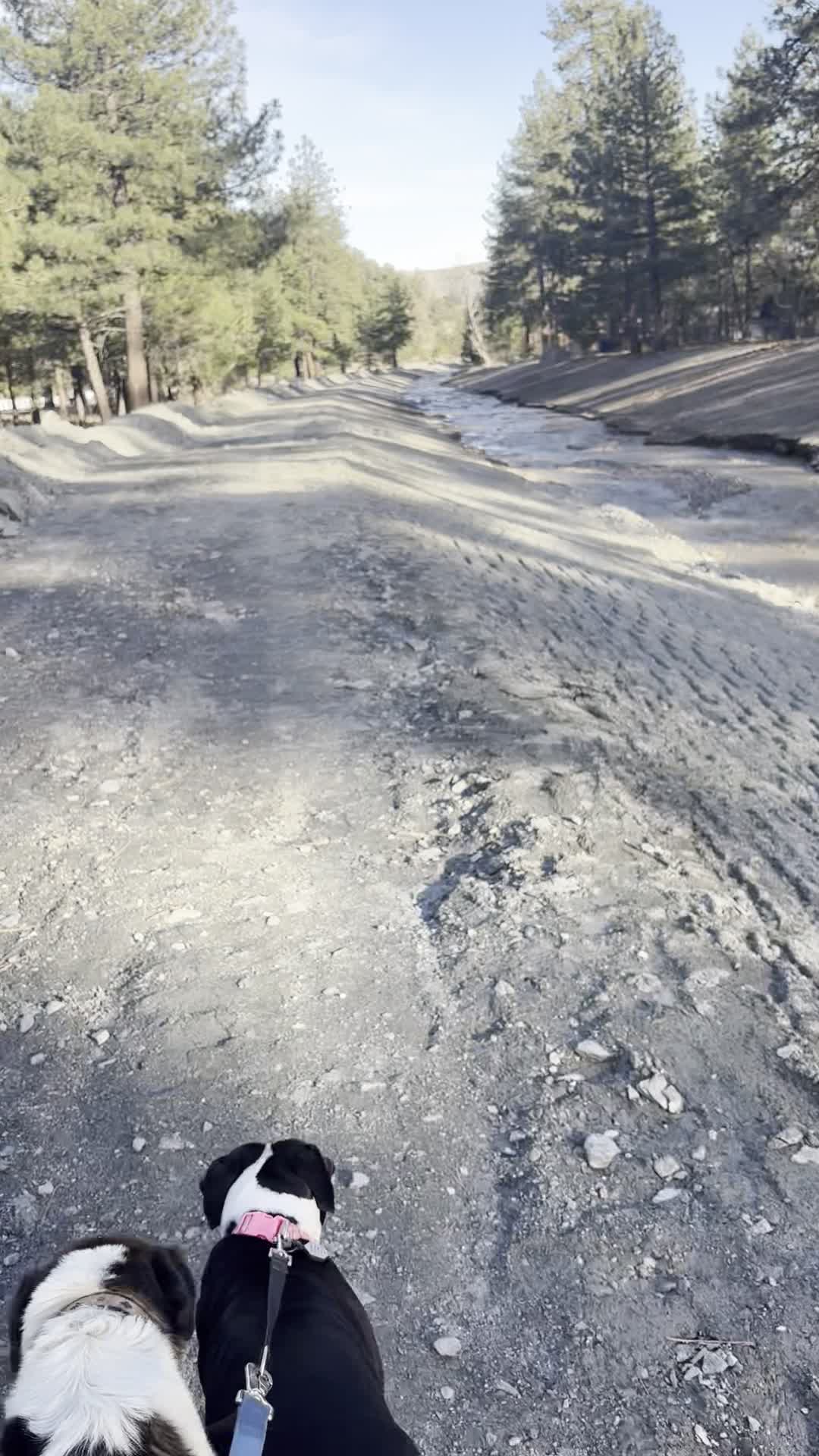 Wrightwood Country Club