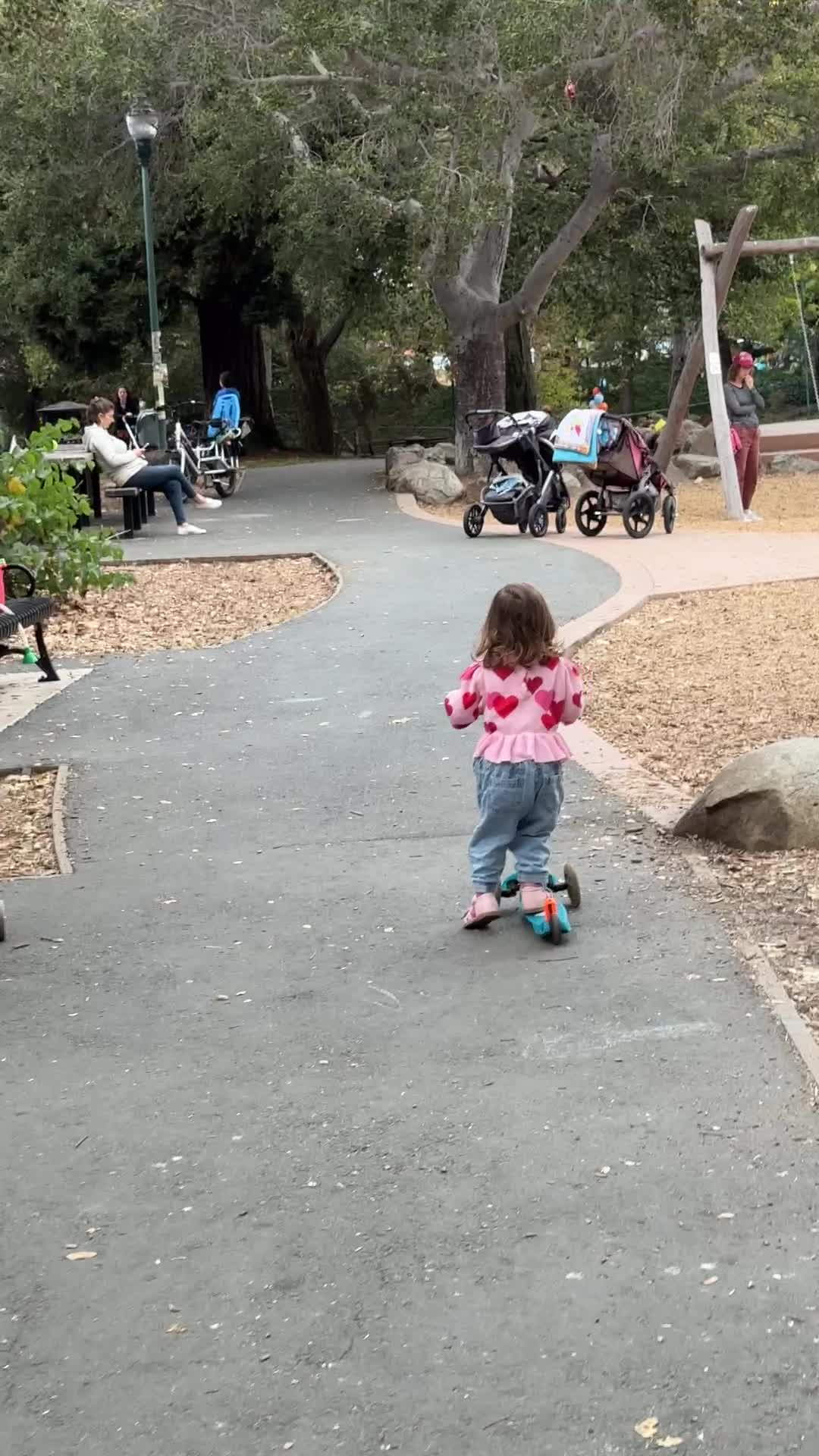 Strawberry Creek Park