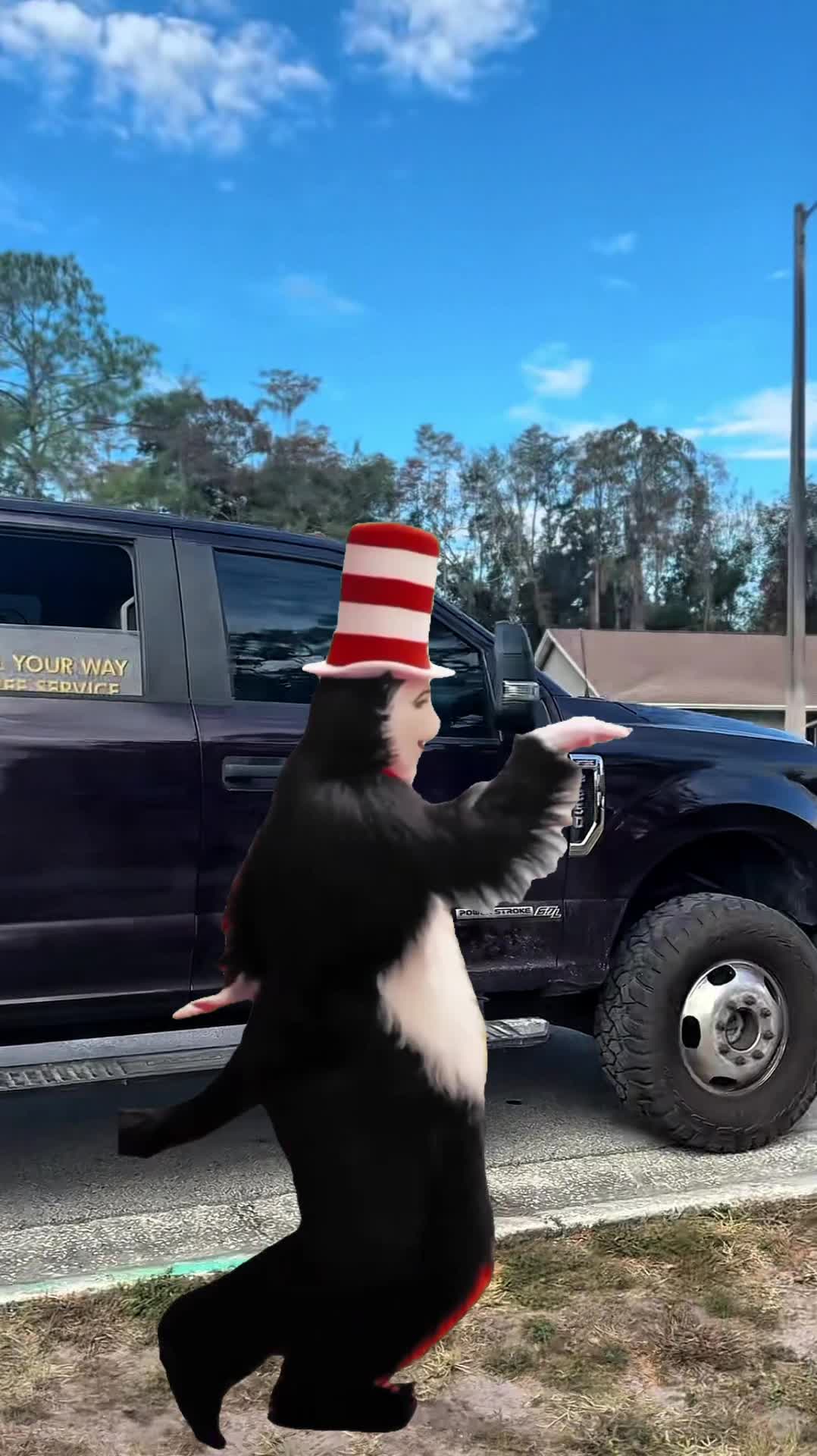 All Your Way Lawn, Tree, and Property Maintenance