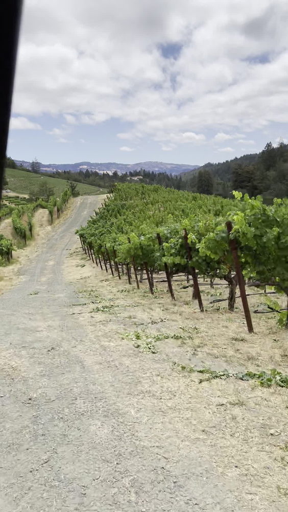 Diamond Creek Vineyards