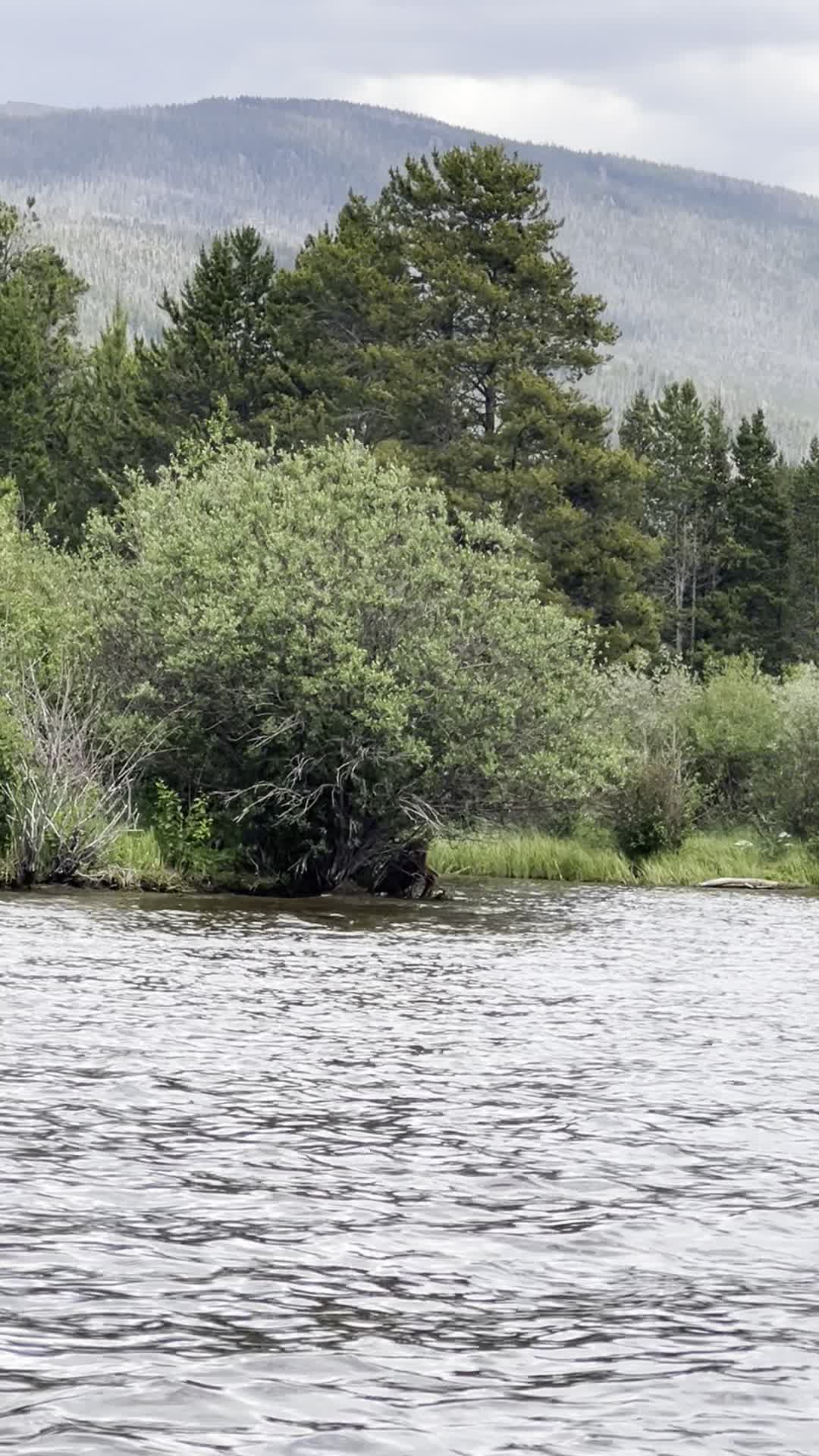 Video review of Nebraska Union