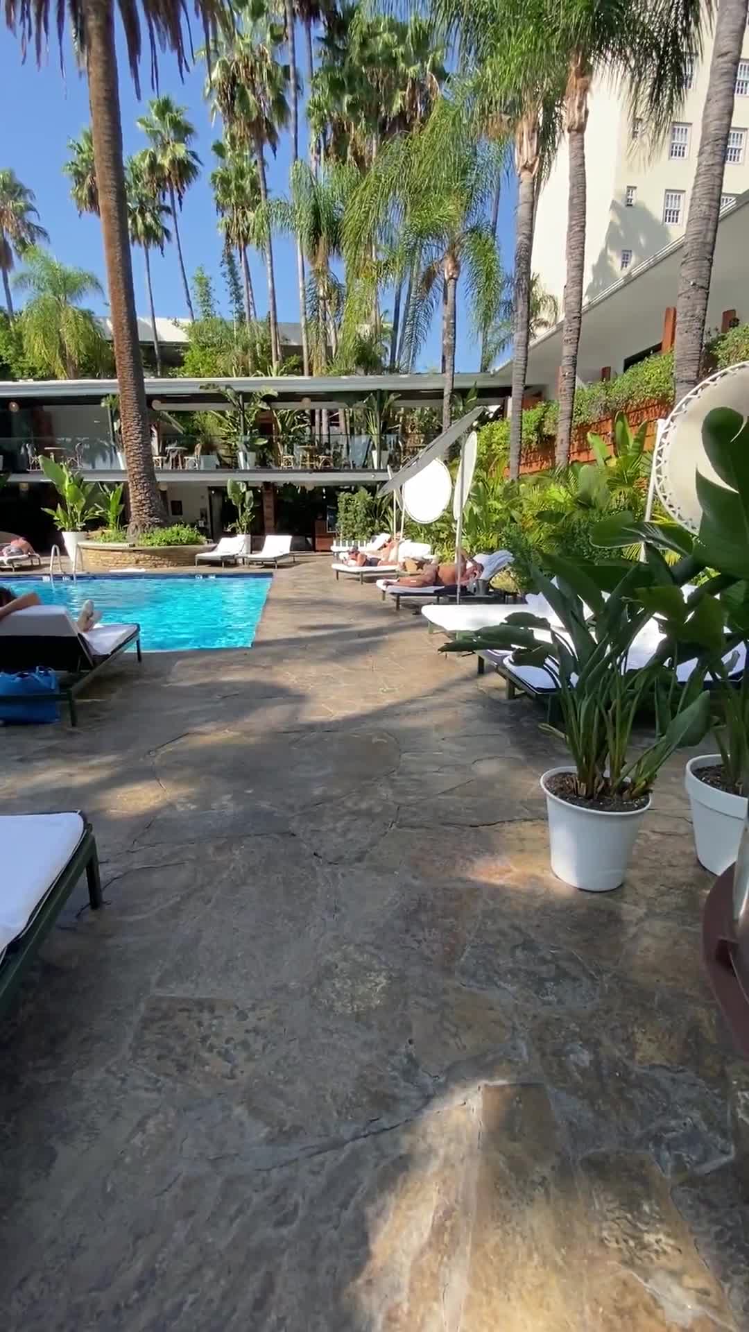 Video review of Tropicana Bar