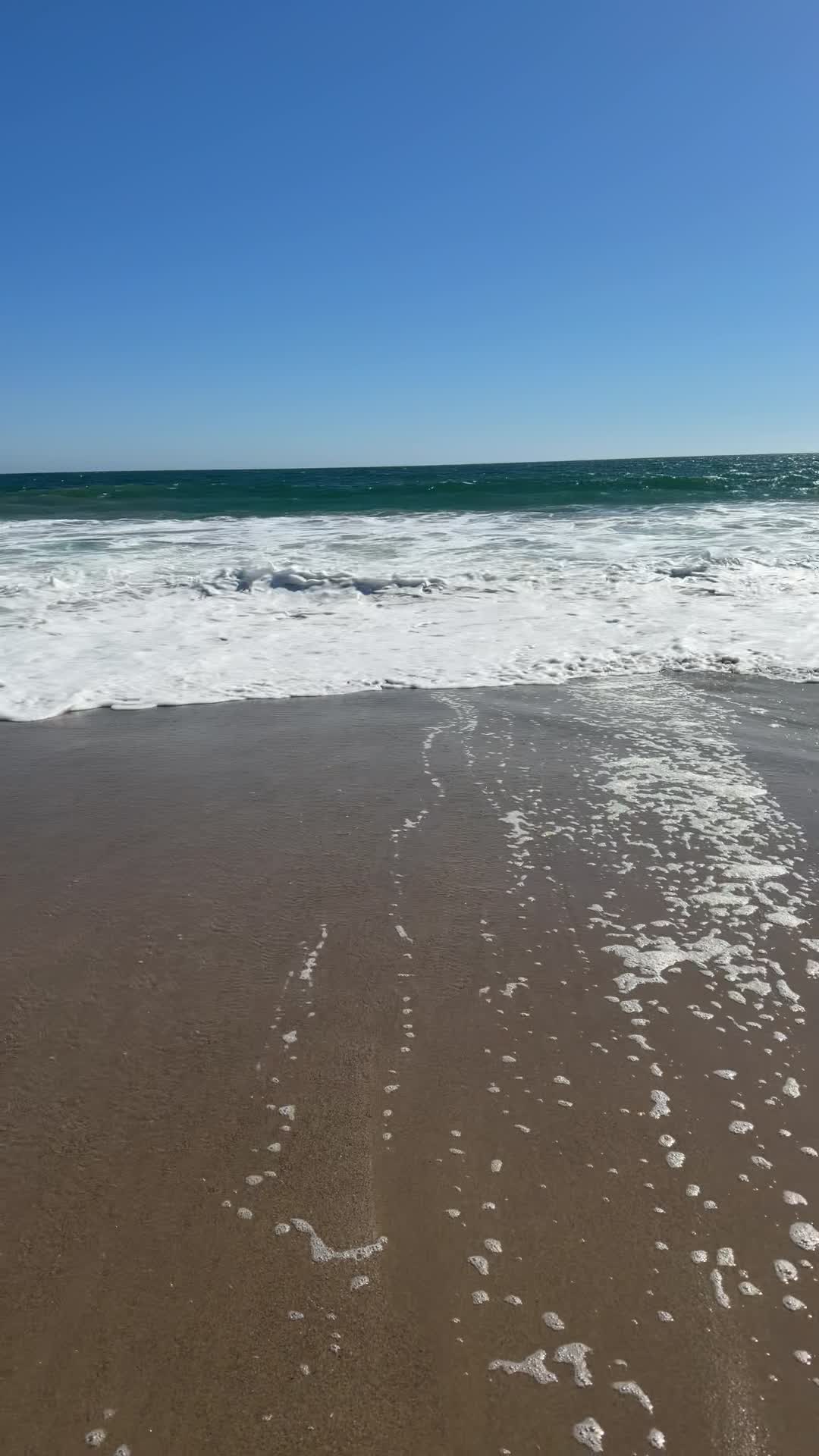 Video review of Venice Beach Boardwalk