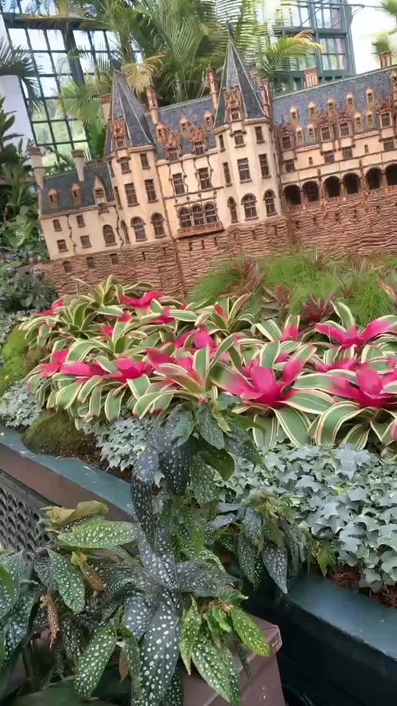 Biltmore