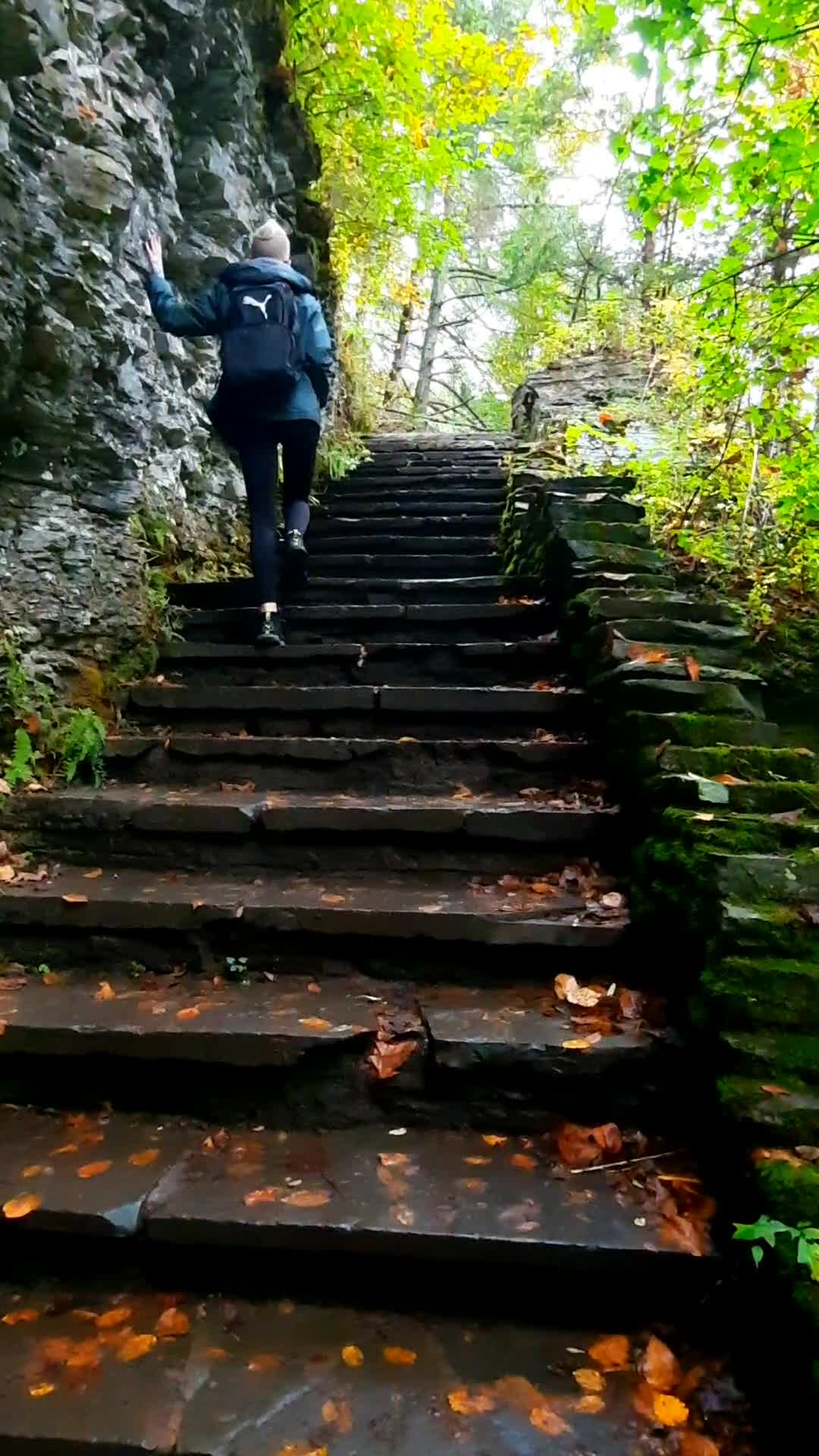 Robert H Treman State Park