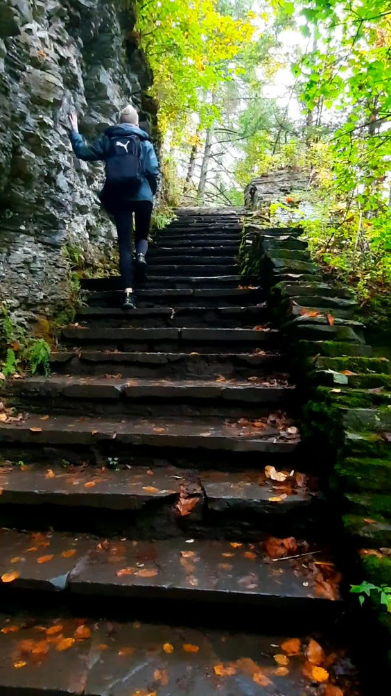 Robert H Treman State Park