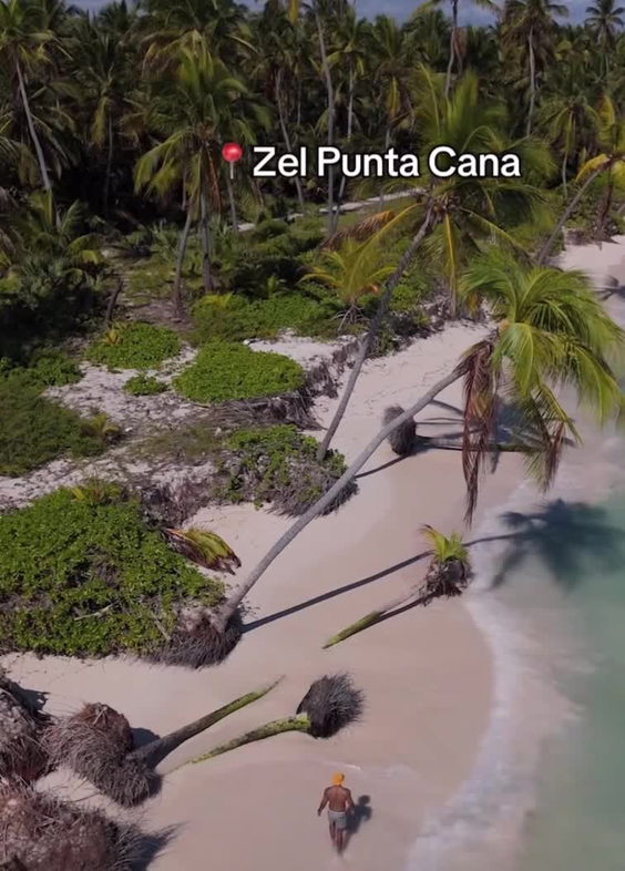 Zel Punta Cana