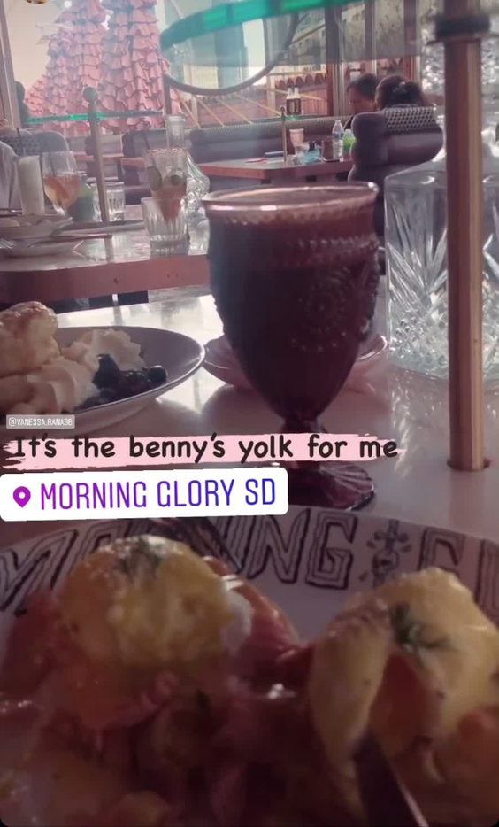 Morning Glory