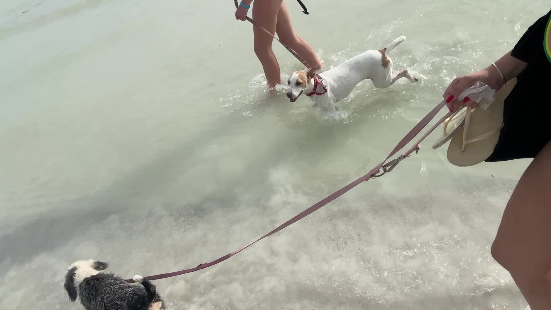 Playa Holbox