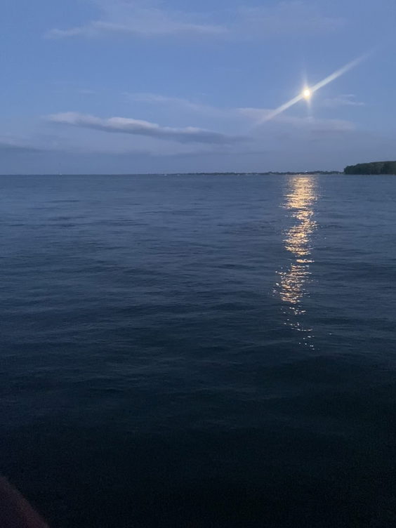 Pier park mi