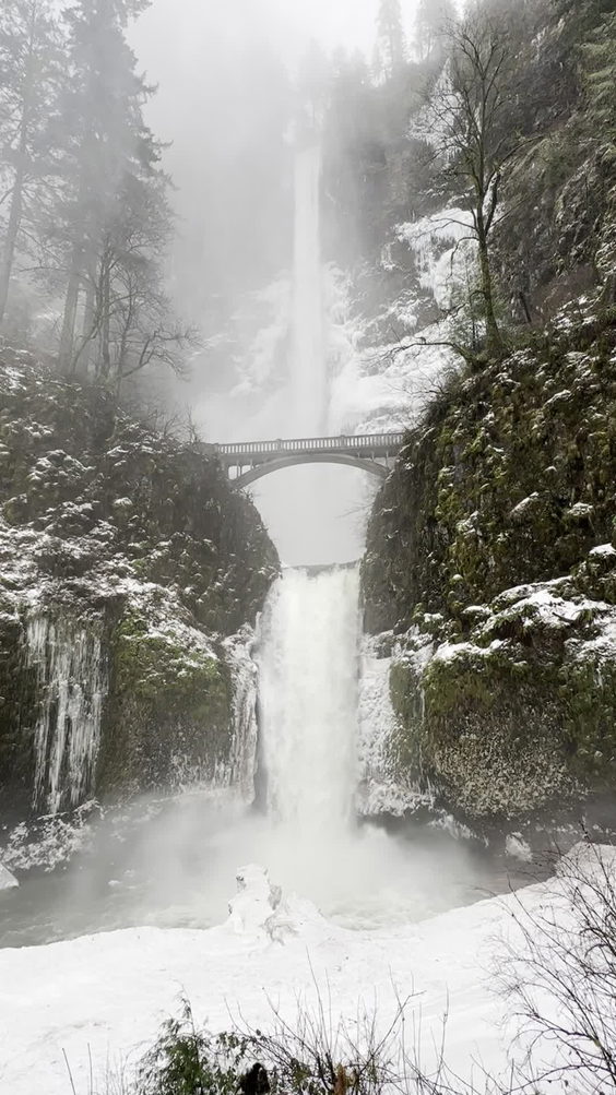 Multnomah Falls Lodge Restaurant