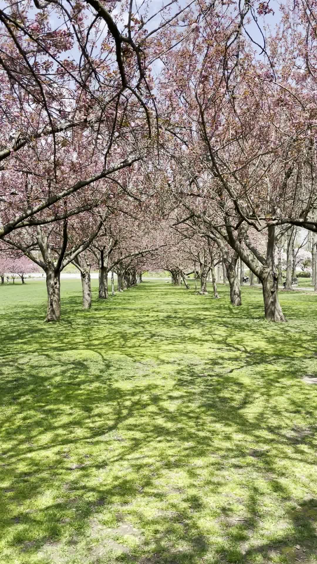 Brooklyn Botanic Garden Office