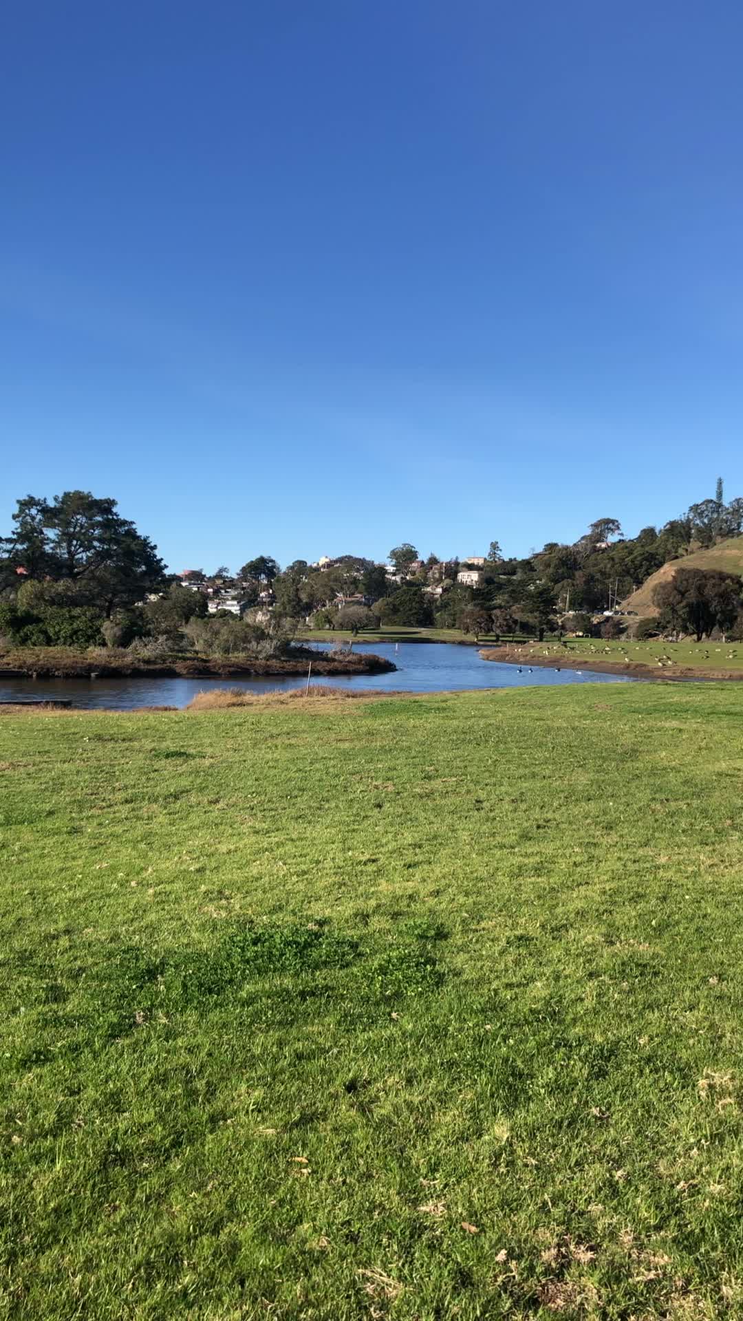 Miller/Knox Regional Shoreline