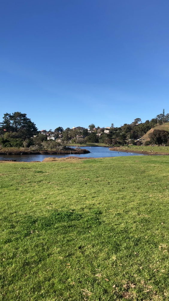 Miller/Knox Regional Shoreline