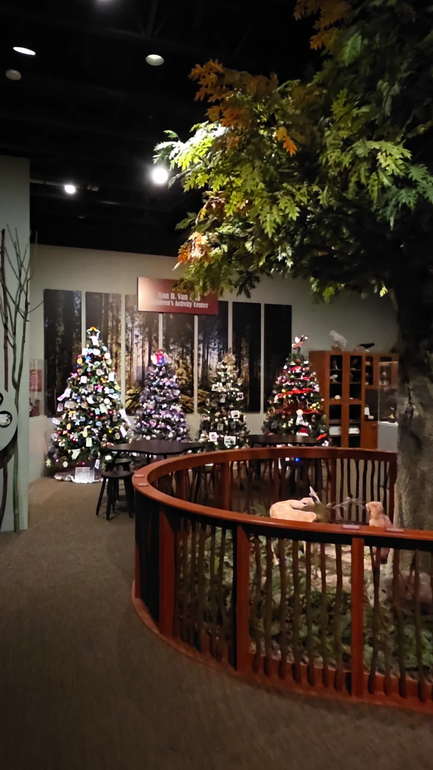 Roberson Museum
