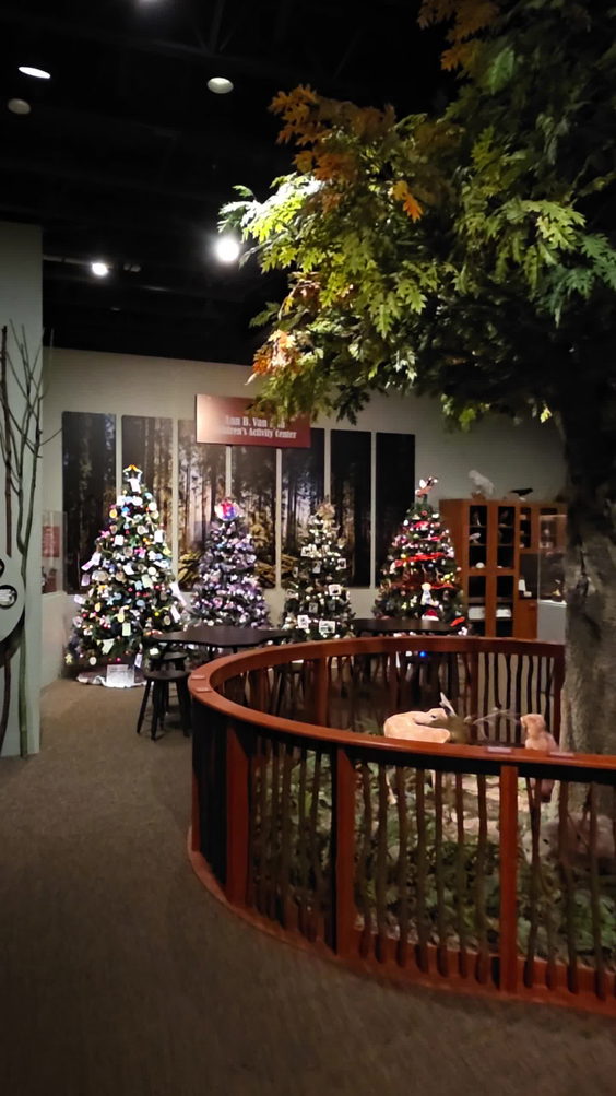Roberson Museum