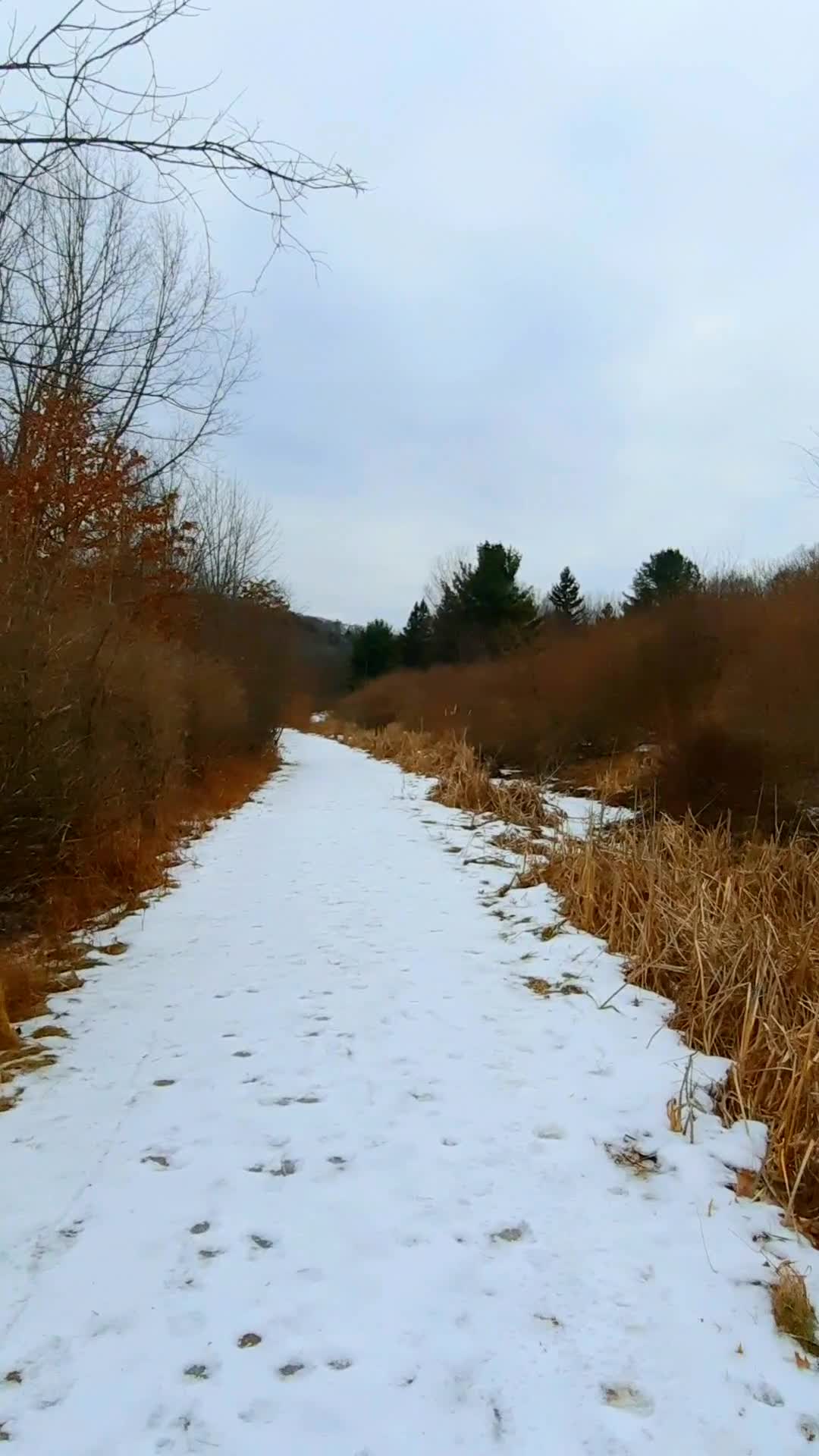 Nature Preserve