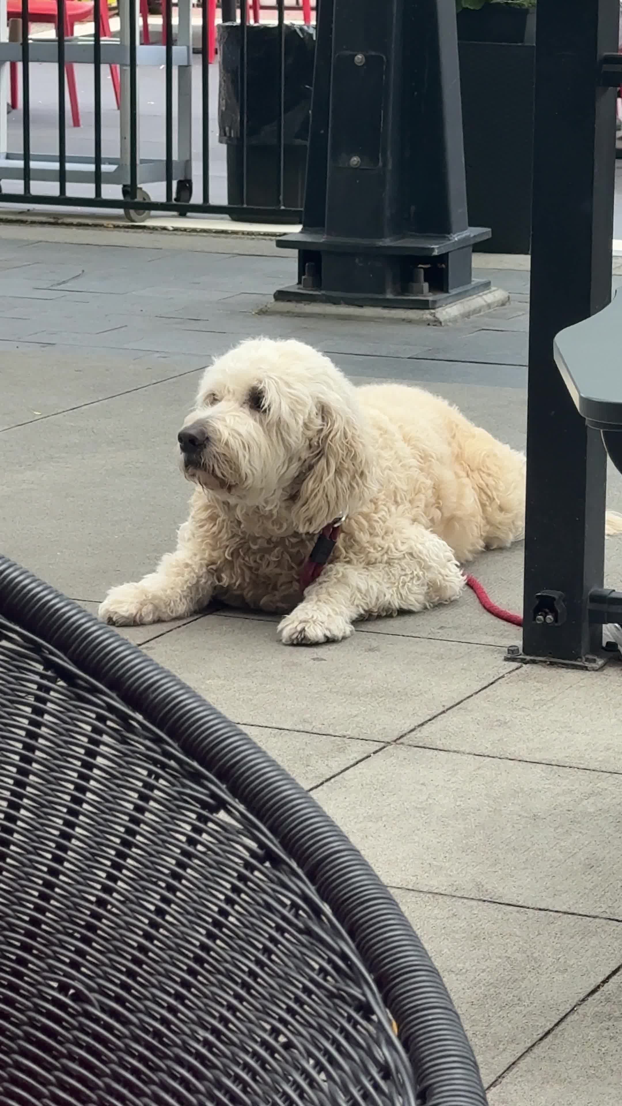 Video review of The Bread Co