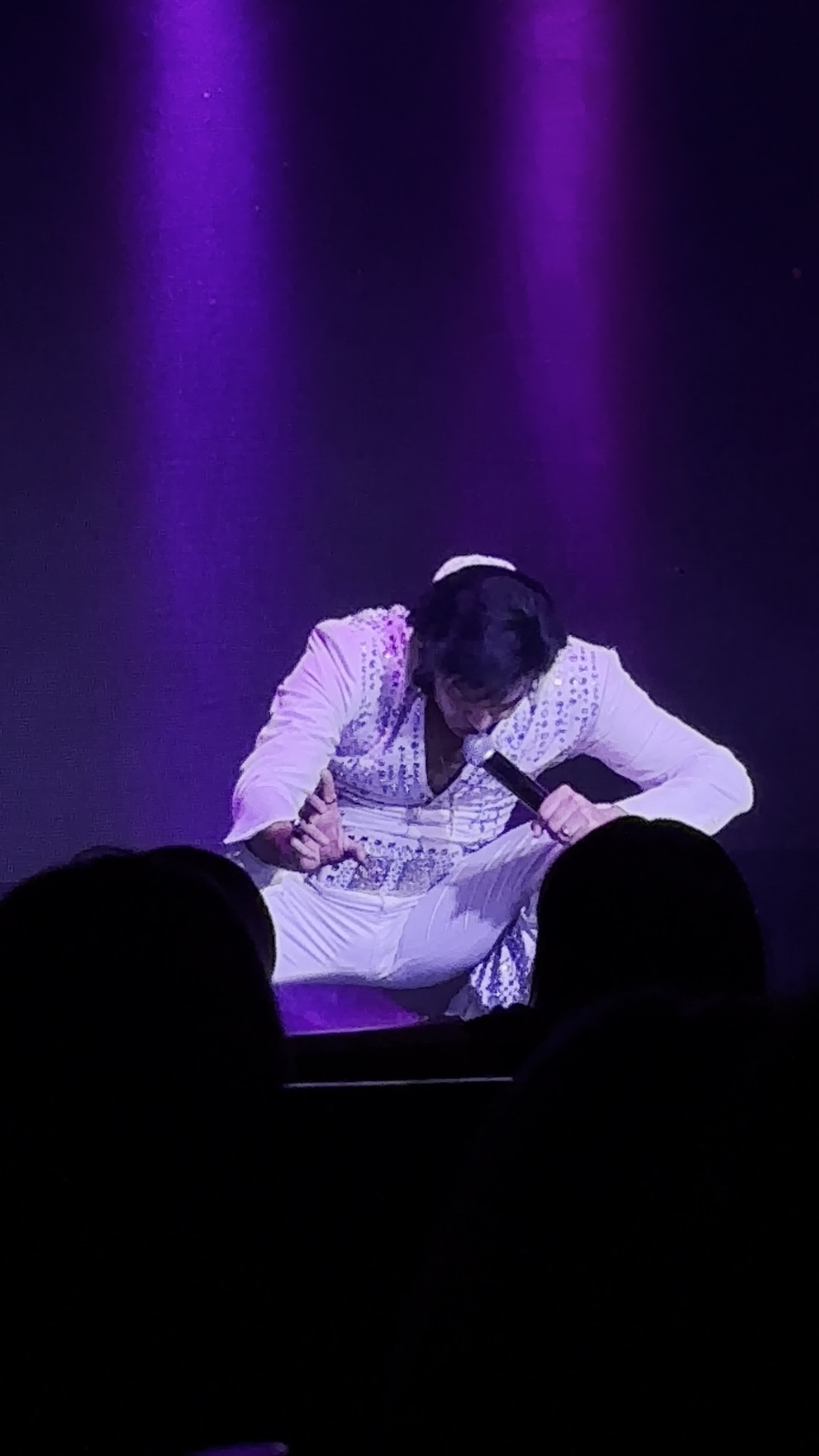 All Shook Up - Tribute to the King