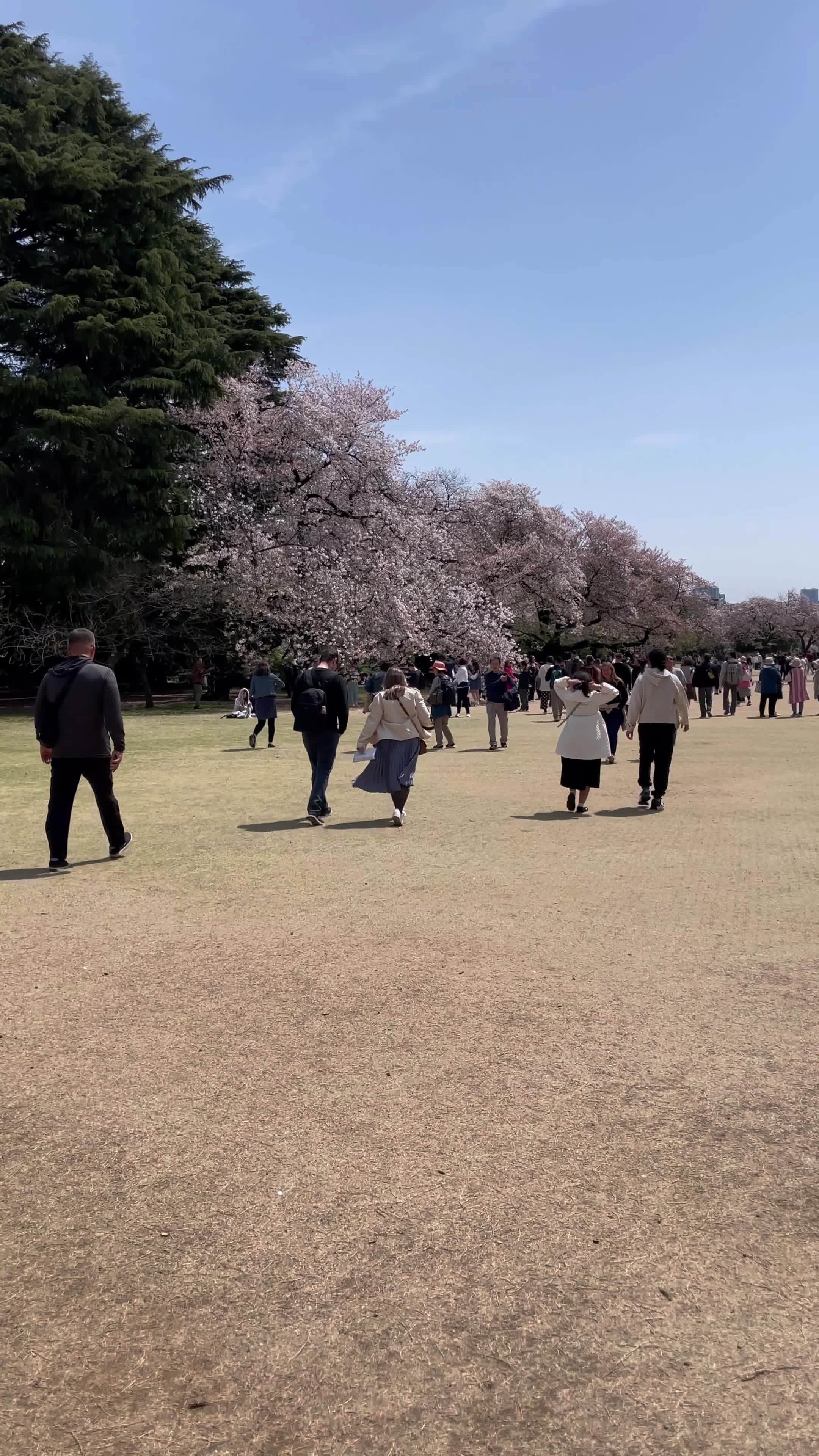 Shinjuku Gyoen National Garden