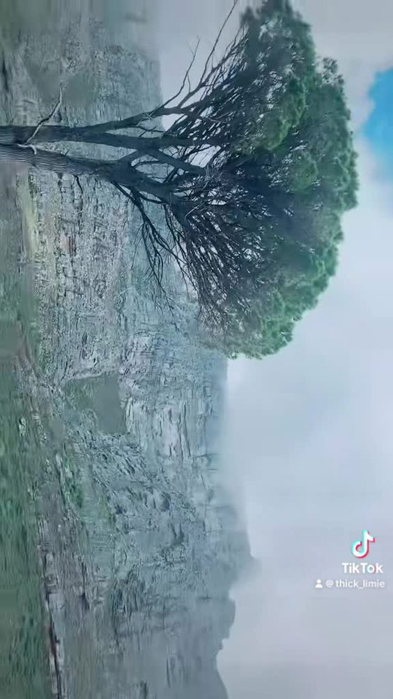 CapeTown - Table Mountain