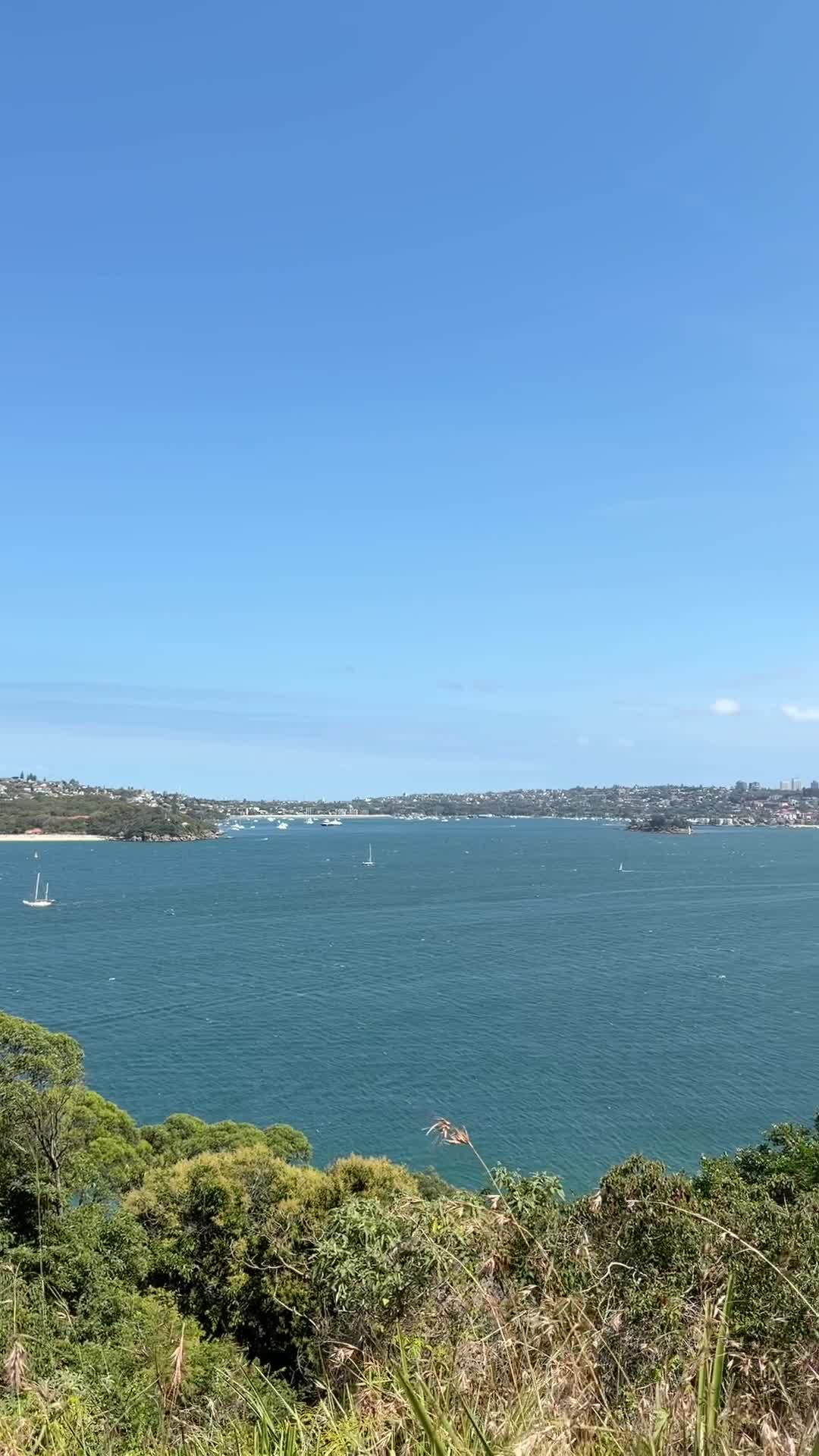 The Barn Cafe Headland Park