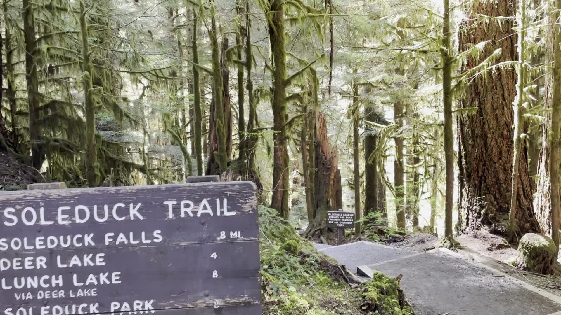 Sol Duc Falls Trail