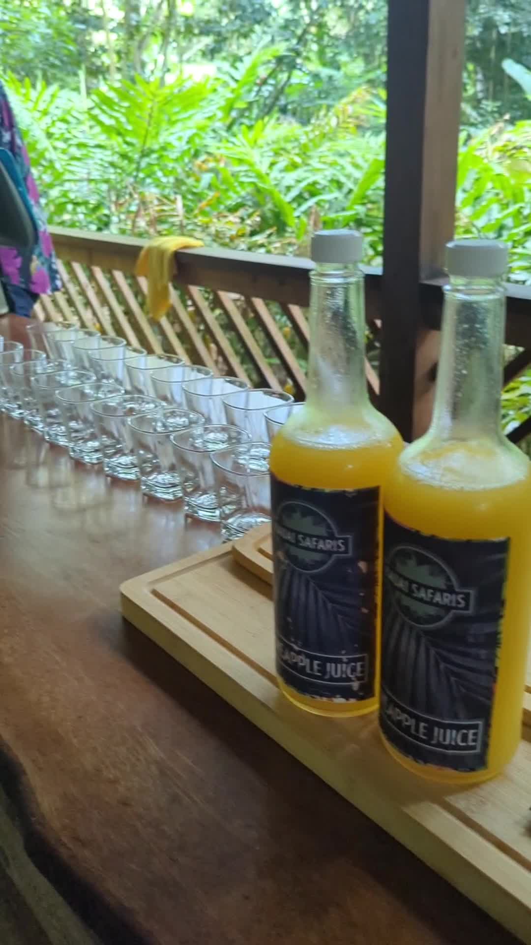 Kauai Safaris